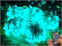 Гирлянда нить уличная 50 м. 400 диодов SMART RGB (шар 2,3 см.), пульт, белый каучук, IP65 - 50-Q525B CEIMAR 378982802