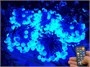 Гирлянда нить уличная 50 м. 400 диодов SMART RGB (шар 2,3 см.), пульт, белый каучук, IP65 - 50-Q525B CEIMAR 378982802