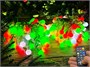 Гирлянда нить уличная 20 м. 160 диодов SMART RGB (шар 2,3 см.), пульт, белый каучук, IP65 - 20-Q525B CEIMAR 324951712