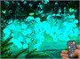 Гирлянда нить уличная 20 м. 160 диодов SMART RGB (шар 2,3 см.), пульт, белый каучук, IP65 - 20-Q525B CEIMAR 324951712