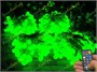 Гирлянда нить уличная 40 м. 320 диодов SMART RGB (шар 2,3 см.), пульт, белый каучук, IP65 - 40-Q525B CEIMAR 523705186