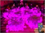 Гирлянда нить уличная 80 м. 640 диодов SMART RGB (шар 2,3 см.), пульт, белый каучук, IP65 - 80-Q525B CEIMAR 1378056130