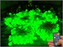 Гирлянда нить уличная 80 м. 640 диодов SMART RGB (шар 2,3 см.), пульт, белый каучук, IP65 - 80-Q525B CEIMAR 1378056130
