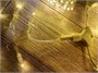 Светодиодный занавес уличный 2x4м. 800 теплых диодов, статика, прозрачный силикон, IP65 - CT2480Sww CEIMAR 176696217