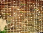 Светодиодный занавес уличный 3x3м. 720 теплых диодов, статика, белый каучук, IP65 - 8703ww LEON LED (LIGHT) 172813353