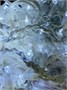 Светодиодная бахрома уличная 5x0.6м. 220 белых диодов статика, белый каучук, IP65 - IP-B2204565w CEIMAR 1318524444