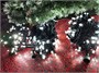 Гирлянда Клип Лайт Спайдер 3х10м. 300 белых диодов статика, пульт ДУ, черный каучук, 24V, IP65 ЕлкаСайт 1639176517