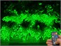 Гирлянда нить уличная 80м. 800 диодов SMART RGB, пульт, белый каучук - N80-100521B IP65 CEIMAR 1109775549
