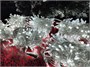 Антенна Diamond X30 1052702088