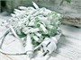 Гирлянда нить уличная 10м. 100 жёлтых диодов статика, белый каучук, IP65 - XM100y CEIMAR 526679650