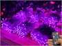 Гирлянда нить уличная 60м. 600 диодов SMART RGB, пульт, белый каучук - N60-100521B IP65 CEIMAR 190431318