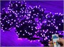 Гирлянда нить уличная 60м. 600 диодов SMART RGB, пульт, черный каучук, 24V - N60-205-721H SM IP65 CEIMAR 1721203517