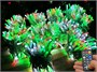 Гирлянда нить уличная 100м. 1000 диодов SMART RGB, пульт, белый каучук - N100-100521B IP65 CEIMAR 1272668500