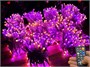 Гирлянда нить уличная 100м. 1000 диодов SMART RGB, пульт, белый каучук - N100-100521B IP65 CEIMAR 1272668500