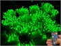 Гирлянда нить уличная 100м. 1000 диодов SMART RGB, пульт, белый каучук - N100-100521B IP65 CEIMAR 1272668500