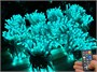Гирлянда нить уличная 100м. 1000 диодов SMART RGB, пульт, белый каучук - N100-100521B IP65 CEIMAR 1272668500