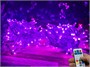 Гирлянда нить уличная 20м. 200 диодов SMART RGB, пульт, белый каучук, 24V - N20-205-720 SM IP65 CEIMAR 458961174