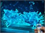 Гирлянда нить уличная 20м. 200 диодов SMART RGB, пульт, белый каучук, 24V - N20-205-720 SM IP65 CEIMAR 458961174