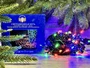 Гирлянда нить уличная 10м. 100 разноцветных диодов, с мерцанием, черный пвх 24V IP54 МДМ+ 299013250