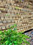 Светодиодная сеть уличная 3x3м. 480 теплых диодов, с мерцанием, черный каучук, IP65 - CMR-480Hwwf CEIMAR 218881099