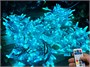 Гирлянда нить уличная 50м. 500 диодов SMART RGB, пульт, белый каучук, 24V - N50-205-720 SM IP65 CEIMAR 1109215640