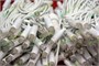 Гирлянда нить уличная 90м. 900 белых диодов, с мерцанием, пульт ДУ, белый каучук - 9x7702W IP65 LEON LED (LIGHT) 1791615042