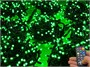 Гирлянда нить уличная 80м. 800 диодов SMART RGB, пульт, черный каучук - N80-100522H IP65 CEIMAR 450411605