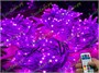 Гирлянда нить уличная 40м. 400 диодов SMART RGB, пульт, белый каучук, 24V - N40-205-720 SM IP65 CEIMAR 1475472521