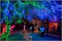 Гирлянда Нить Клип Лайт 50м. 500 разноцветных диодов, зеленый пвх - 5600-LED500M IP44 LEON LED (LIGHT) 152683454
