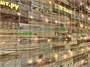 Светодиодный занавес уличный 3x2м. 320 теплых диодов, с мерцанием, прозрачный силикон, IP54 - TMX-33320Sww CEIMAR 553788424