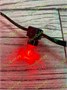 Гирлянда Нить Клип Лайт 100м. 666 красных диодов статика, зеленый пвх, 12V, IP65 - GRP-CL-666-100M-R CEIMAR 102336473