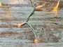 Светодиодная бахрома уличная 25x0.7м. 825 теплых диодов, с мерцанием, пульт ДУ, белый каучук - IP-BT825357-25ww IP65 CEIMAR 705342892