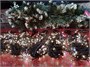Гирлянда Клип Лайт Спайдер 5х20м. 1000 белых диодов статика, черный каучук, 24V, IP54 - 18221Hw ЕлкаСайт 632814621