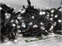 Гирлянда нить уличная 30м. 300 белых диодов, статика, черный каучук, 24V, IP65 - 30-205-516Hw CEIMAR 1705870694