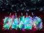 Гирлянда Клип Лайт Спайдер 5х20м. 1000 диодов Хамелеон RGB, прозрачный силикон, IP54 - 5*5257Srgb ЕлкаСайт 274115769
