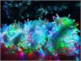 Гирлянда Клип Лайт Спайдер 5х20м. 1000 диодов Хамелеон RGB, прозрачный силикон, IP54 - 5*5257Srgb ЕлкаСайт 274115769