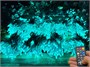 Гирлянда нить уличная 90м. 900 диодов SMART RGB, пульт, белый каучук - N90-100521B IP65 CEIMAR 633766987