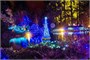 Гирлянда Нить Клип Лайт 50м. 500 теплых диодов, с мерцанием, зеленый пвх - WM-500WW IP54 CEIMAR 1172642543