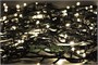 Гирлянда нить 24м. 300 теплых диодов, зёленый пвх - 1303 WW-BK LEON LED (LIGHT) 2033261148