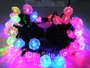 Гирлянда 5м. Ракушки 50 диодов Хамелеон, черный пвх - X-37-50L-RGB/2 LEON LED (LIGHT) 2114832523