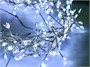 Занавес Роса 3x3м. 1440 Led белых, прозрачный провод - АС-1442 LEON LED (LIGHT) 1507849830