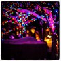 Гирлянда нить 20.0м. 300 разноцветных диодов, прозрачный пвх - LN-300L-RGB LEON LED (LIGHT) 1754011494