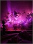 Гирлянда нить 16м. 200 розовых диодов, черный пвх - LN-200L-PI-BK LEON LED (LIGHT) 1786766432