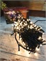 Гирлянда нить 16м. 200 теплых диодов, черный пвх - LN-200L-WW-BK LEON LED (LIGHT) 1832729365