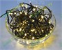 Гирлянда нить 11м. 140 теплых диодов, черный пвх - LN-140L-WW-BK LEON LED (LIGHT) 1285711857