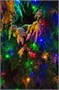 Гирлянда нить 20.0м. 300 разноцветных диодов, черный пвх - LN-300L-RGB-BK LEON LED (LIGHT) 1443944738