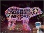 Медведь светодиодный уличный 90x157x48 см. Хамелеон SMART RGB 24V - 18258 ЕлкаСайт 30280185