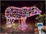Медведь светодиодный уличный 65x110x40 см. Хамелеон SMART RGB 24V - 18256 ЕлкаСайт 951731386