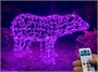 Медведь светодиодный уличный 65x110x40 см. Хамелеон SMART RGB 24V - 18256 ЕлкаСайт 951731386