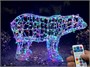 Медведь светодиодный уличный 65x110x40 см. Хамелеон SMART RGB 24V - 18256 ЕлкаСайт 951731386